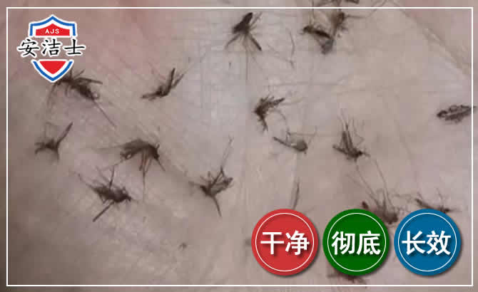 奉化区蚊子防治-灭蚊