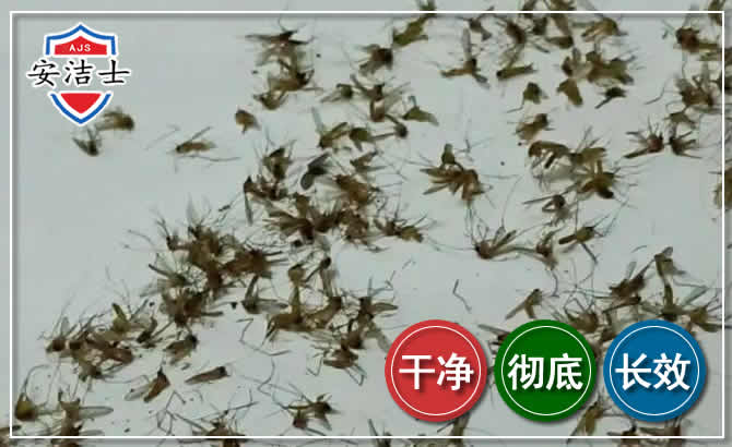 奉化区苍蝇防治-灭蝇