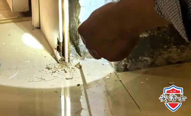 奉化区房屋建筑防治白蚁