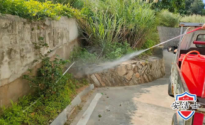 奉化区道路堤坝白蚁防治