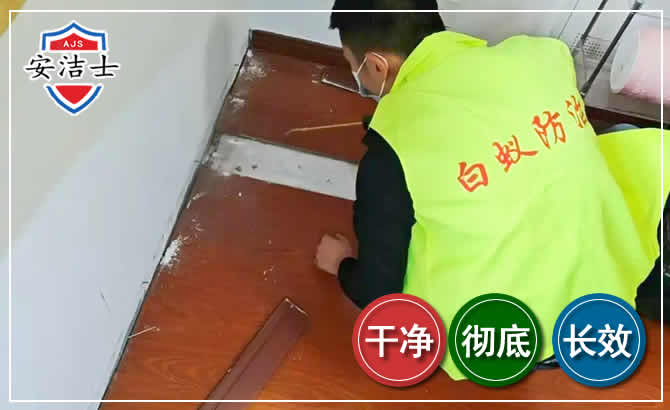 奉化区除四害现场