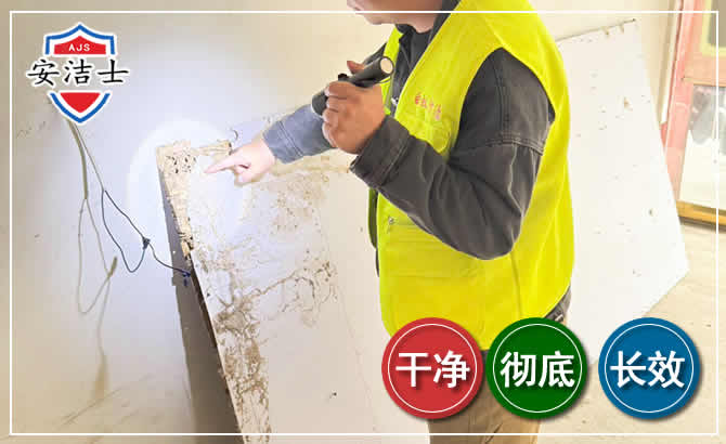 奉化区除白蚁现场